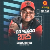 BIGUINHO SENSAÇÃO - CD VERÃO 2025